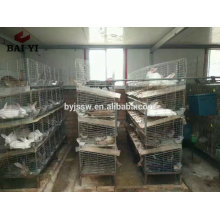 Anping Factory Supply Cages à lapins et cages à lapins